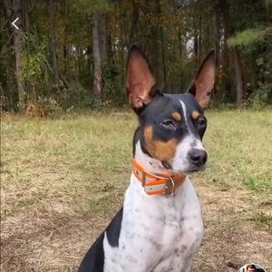 Meet your Posher, Ethan